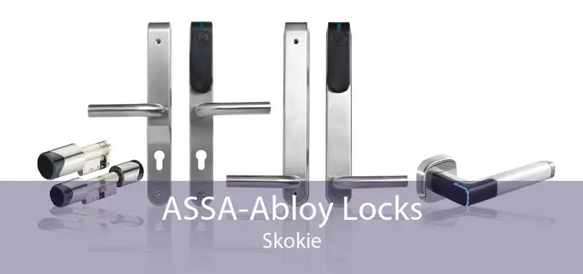 ASSA-Abloy Locks Skokie