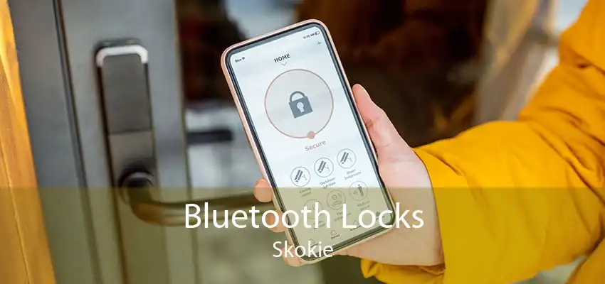 Bluetooth Locks Skokie