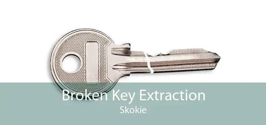 Broken Key Extraction Skokie