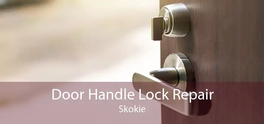 Door Handle Lock Repair Skokie