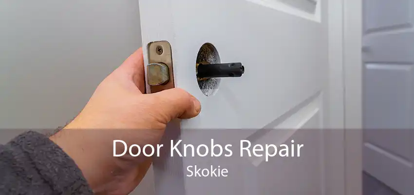 Door Knobs Repair Skokie