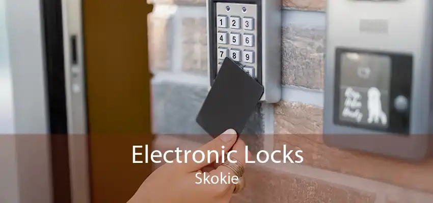 Electronic Locks Skokie