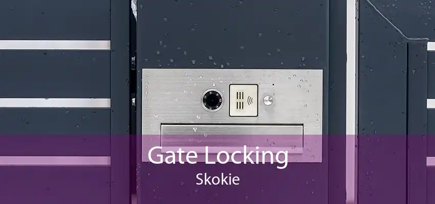 Gate Locking Skokie