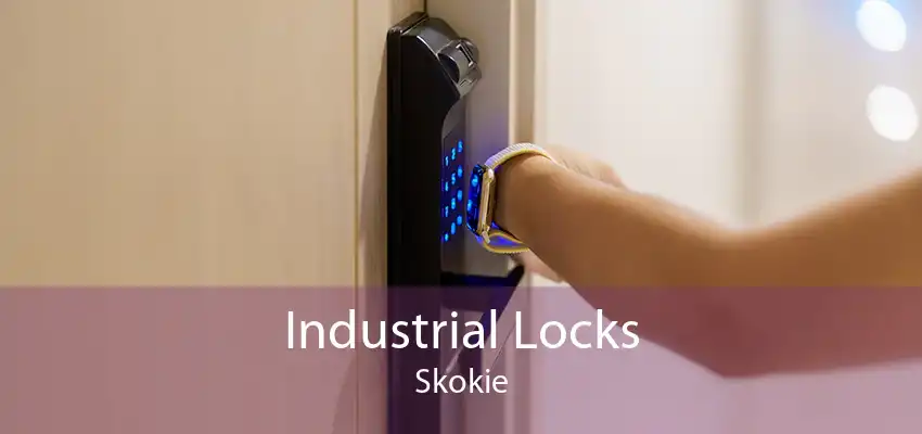 Industrial Locks Skokie