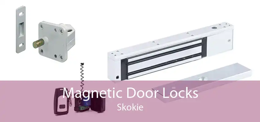 Magnetic Door Locks Skokie