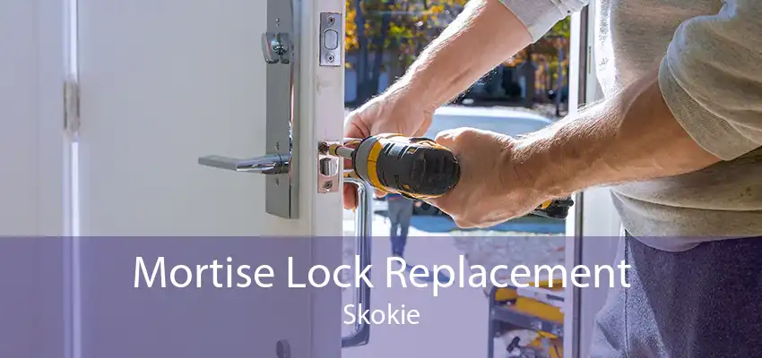 Mortise Lock Replacement Skokie