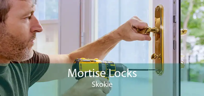 Mortise Locks Skokie