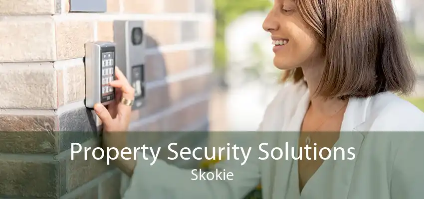 Property Security Solutions Skokie