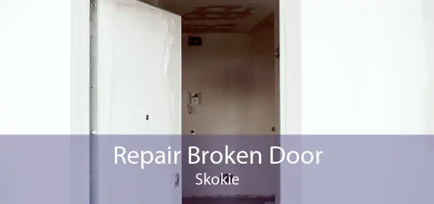 Repair Broken Door Skokie