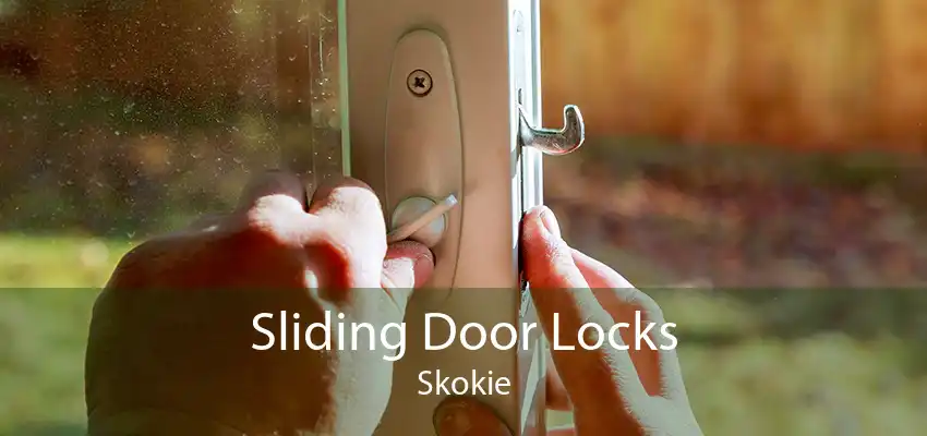 Sliding Door Locks Skokie