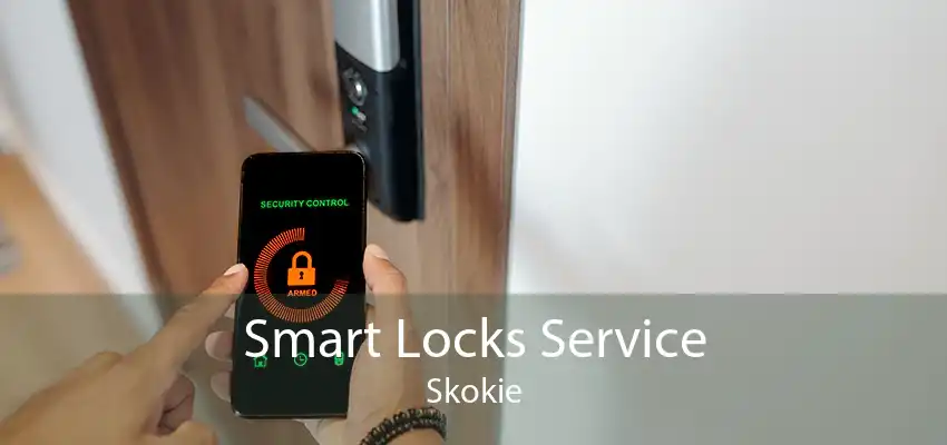 Smart Locks Service Skokie